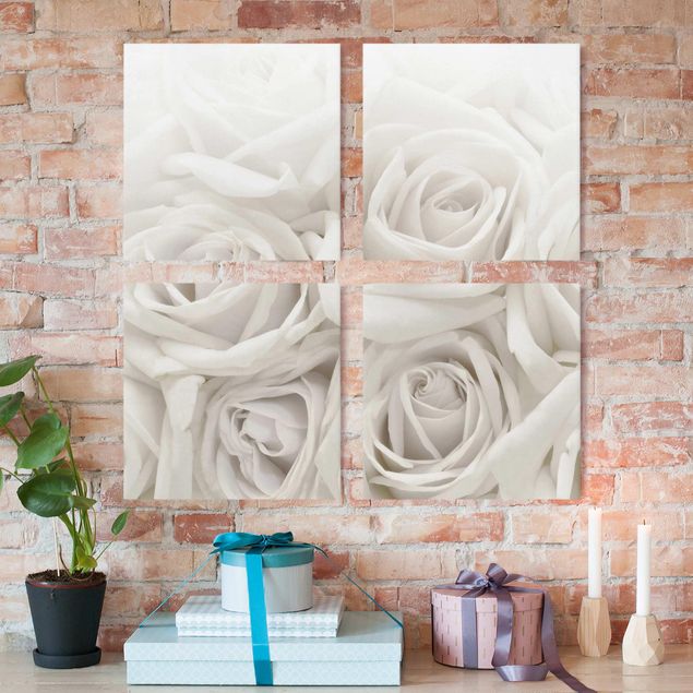 Rosen Bilder auf Leinwand Weiße Rosen