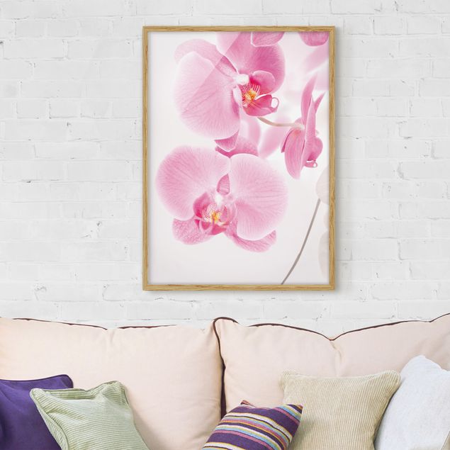 Moderne Bilder mit Rahmen Delicate Orchids