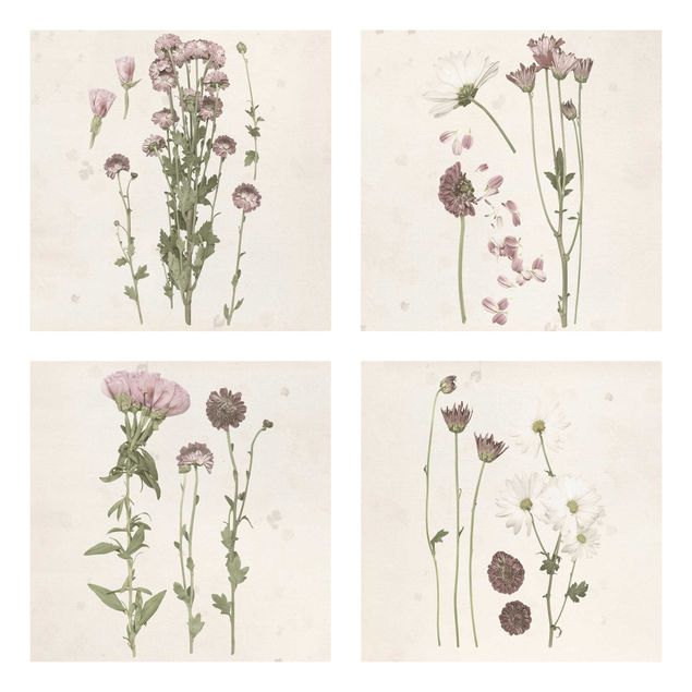 Bilder Herbarium in rosa Set I