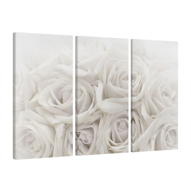 Leinwandbilder Weiße Rosen