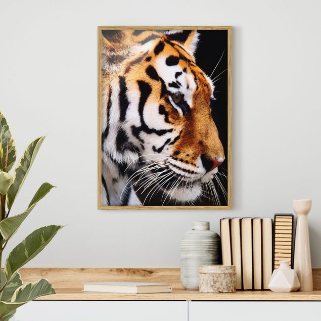 Tiere Bilder mit Rahmen Tiger Schönheit