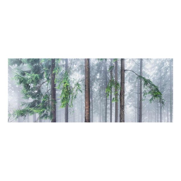 Glasbild - Nadelbäume im Winter - Panorama