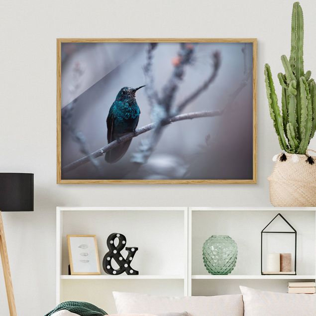 Moderne Bilder mit Rahmen Kolibri im Winter