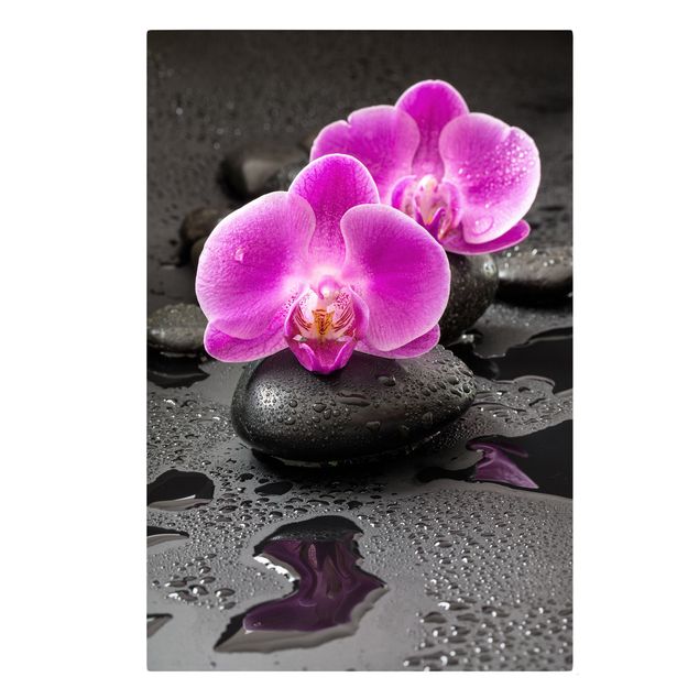 Leinwandbild - Pinke Orchideenblüten auf Steinen mit Tropfen - Hochformat 3:2