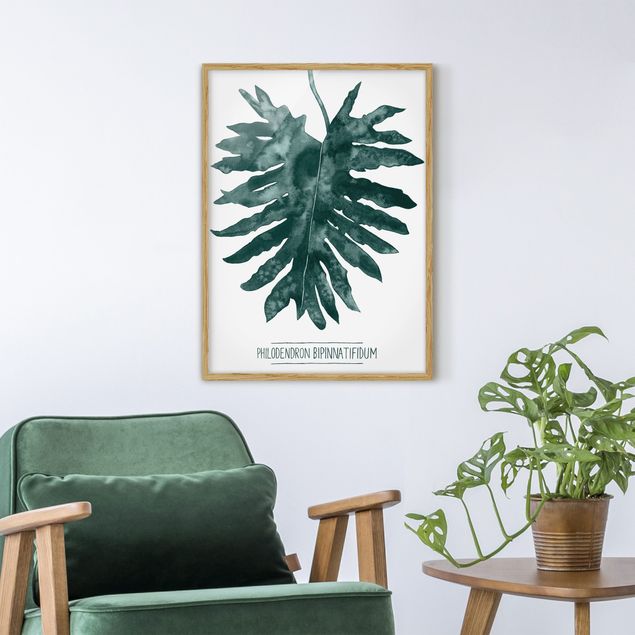 Blumen Bilder mit Rahmen Smaragdgrüner Philodendron Bipinnatifidum
