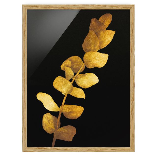 Bilder mit Rahmen Gold - Eukalyptus auf Schwarz