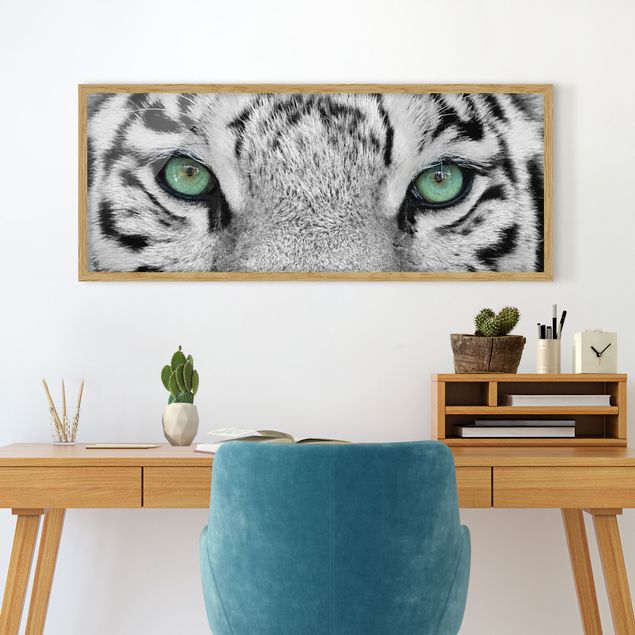 Tiere Bilder mit Rahmen Weißer Tiger