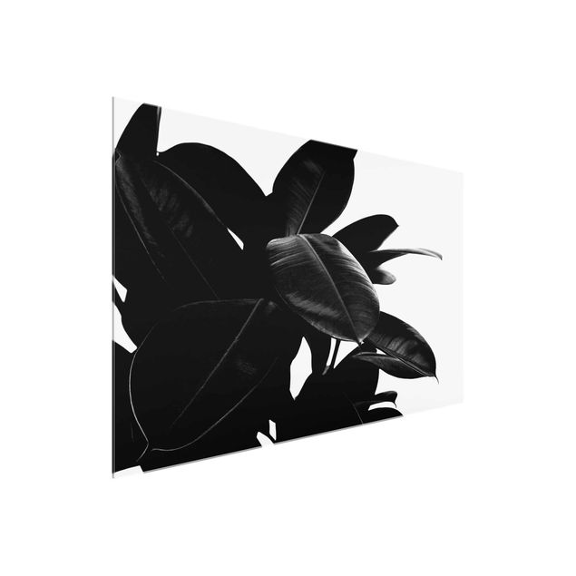 Kubistika Poster Gummibaum Blätter Schwarz Weiß