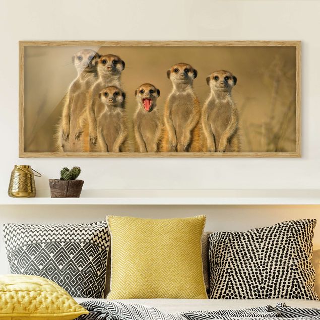 Moderne Bilder mit Rahmen Meerkat Family