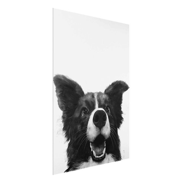 Glasbilder Tiere Illustration Hund Border Collie Schwarz Weiß Malerei