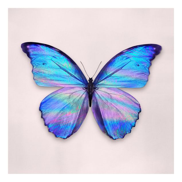 Leinwandbild - Jonas Loose - Holografischer Schmetterling - Quadrat 1:1