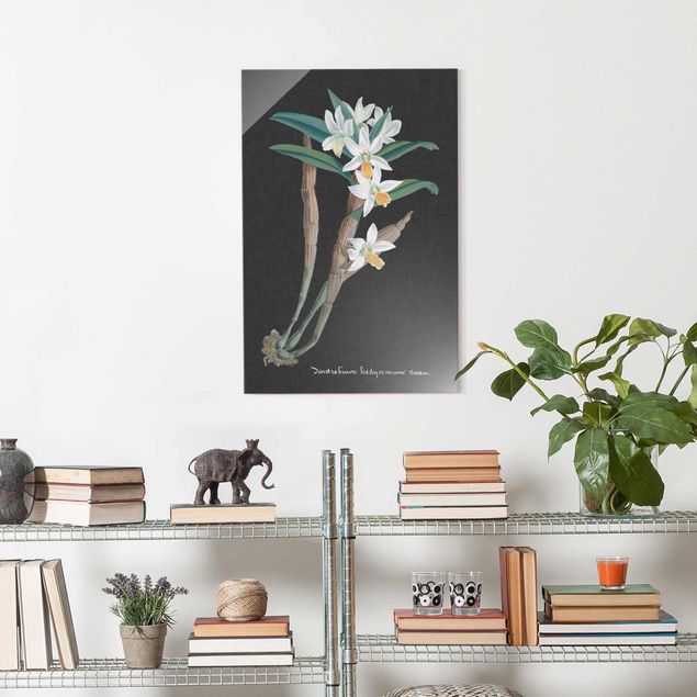 Glasbilder Blumen Weiße Orchidee auf Leinen I