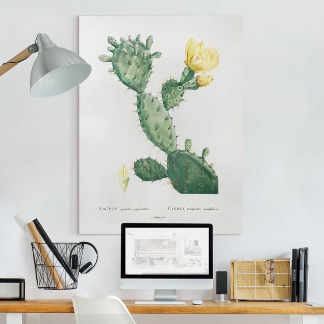 Leinwandbilder Blumen Botanik Vintage Illustration Kaktus mit gelber Blüte