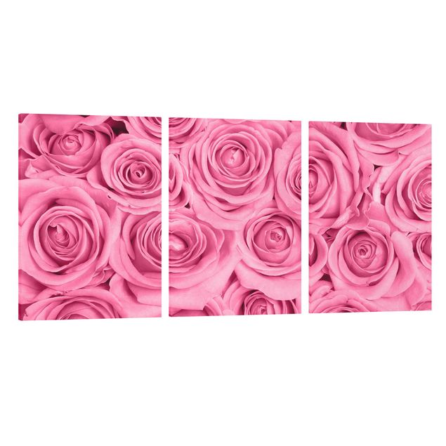 Leinwandbilder kaufen Rosa Rosen