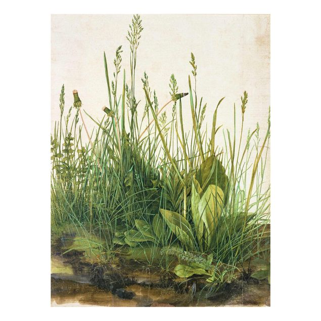 Bilder Albrecht Dürer - Das große Rasenstück