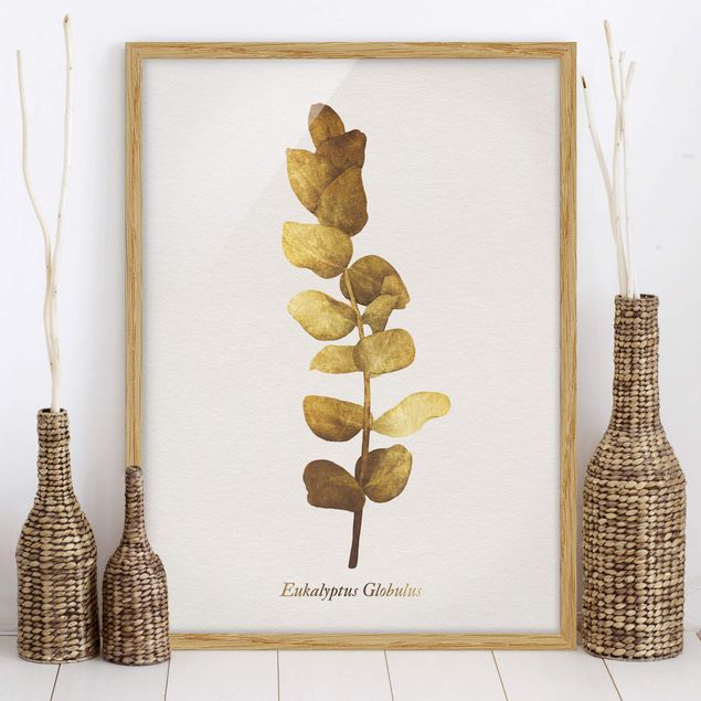 Moderne Bilder mit Rahmen Gold - Eukalyptus