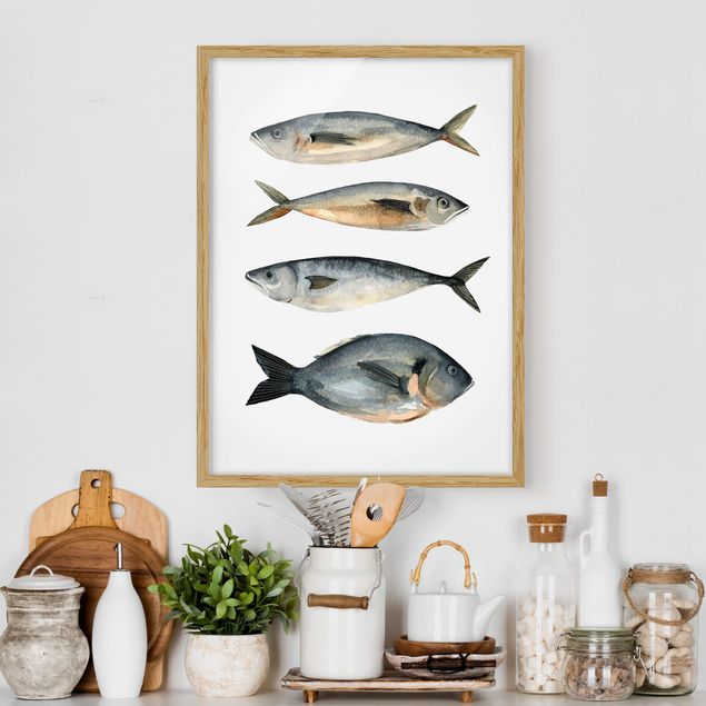 Moderne Bilder mit Rahmen Vier Fische in Aquarell I