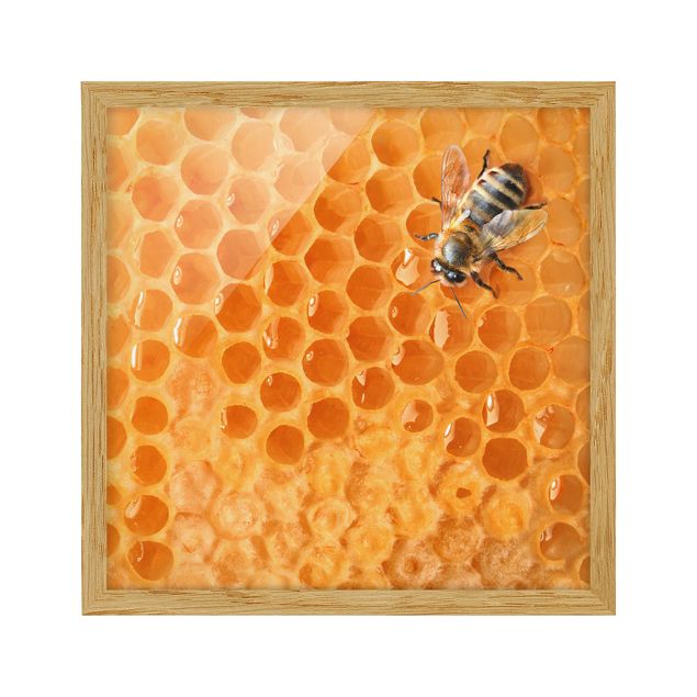Bilder mit Rahmen Honey Bee