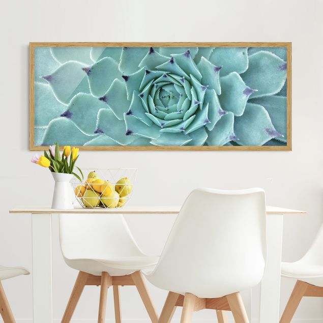 Moderne Bilder mit Rahmen Kaktus Agave