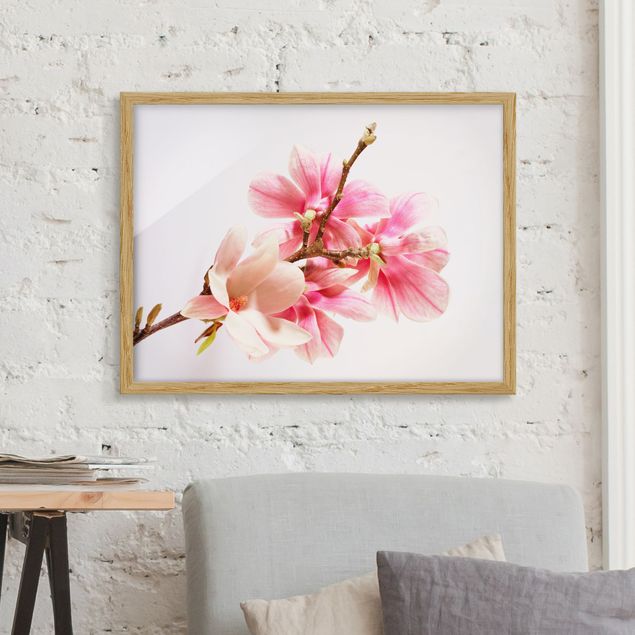 Moderne Bilder mit Rahmen Magnolienblüten