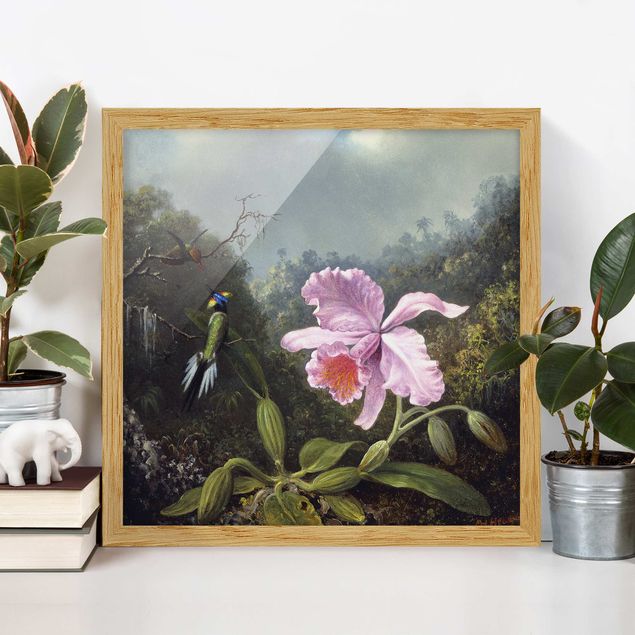 Kunstdrucke mit Rahmen Martin Johnson Heade - Stillleben mit Orchidee und zwei Kolibris
