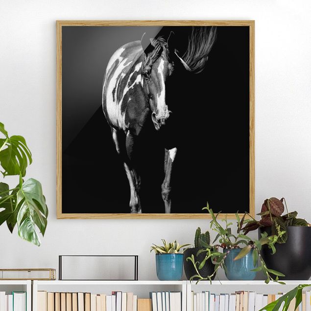 Moderne Bilder mit Rahmen Pferd vor Schwarz