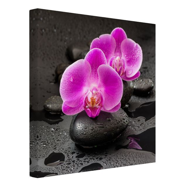 Leinwandbild - Pinke Orchideenblüten auf Steinen mit Tropfen - Quadrat 1:1