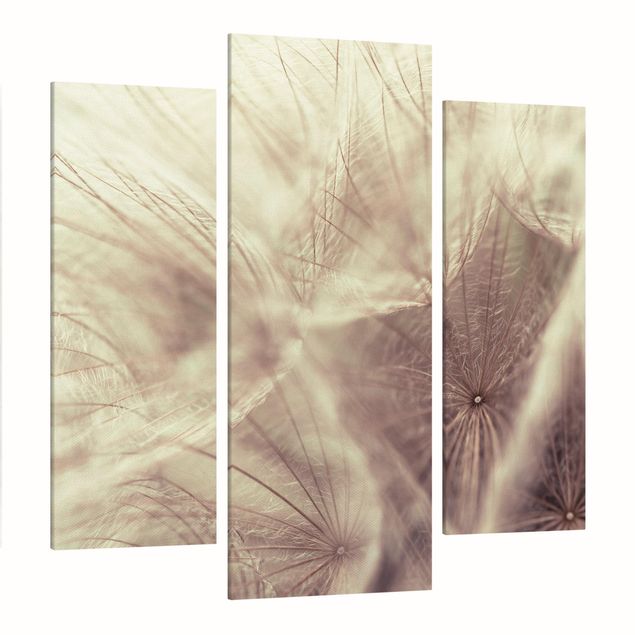 Leinwandbild 3-teilig - Detailreiche Pusteblumen Makroaufnahme mit Vintage Blur Effekt - Galerie Triptychon