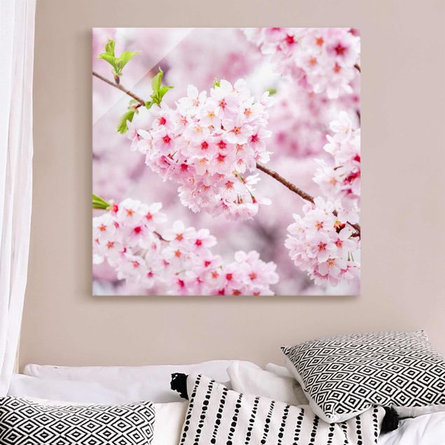 Glasbild - Japanische Kirschblüten - Quadrat 1:1