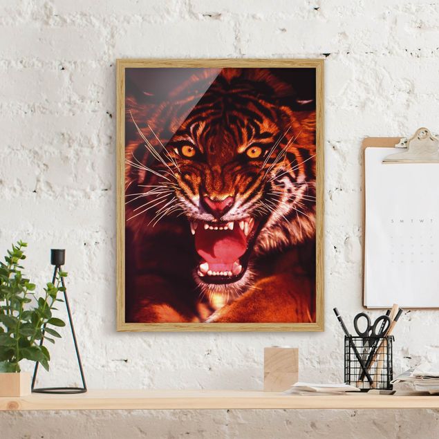 Tiere Bilder mit Rahmen Wilder Tiger