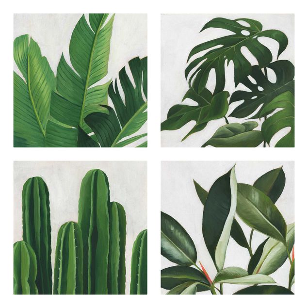 Leinwandbilder Lieblingspflanzen Tropical Set I