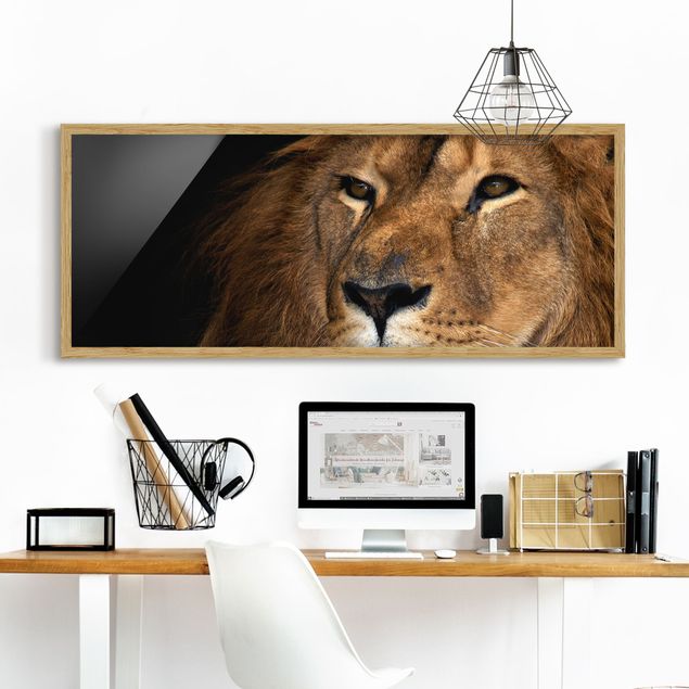 Tiere Bilder mit Rahmen Löwenblick