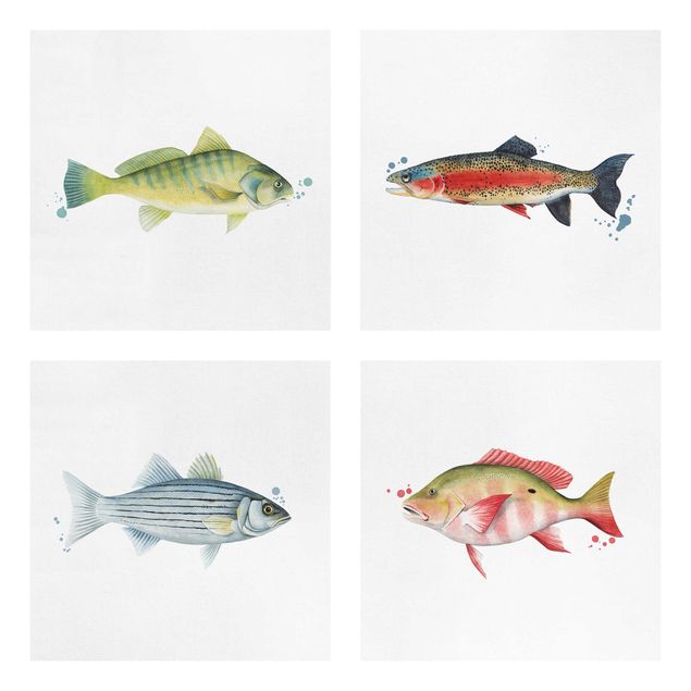 Leinwandbilder Farbfang - Fische Set I