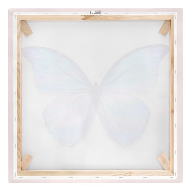 Leinwandbild - Jonas Loose - Holografischer Schmetterling - Quadrat 1:1