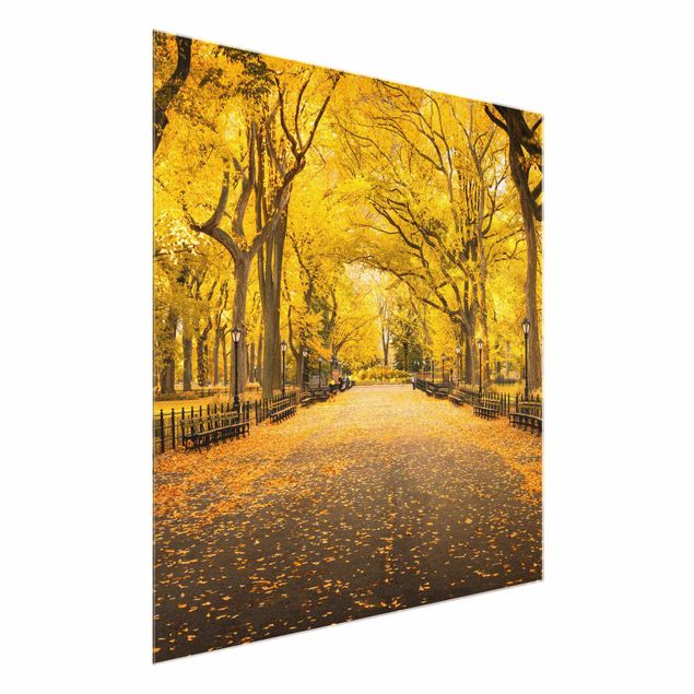Bilder Herbst im Central Park