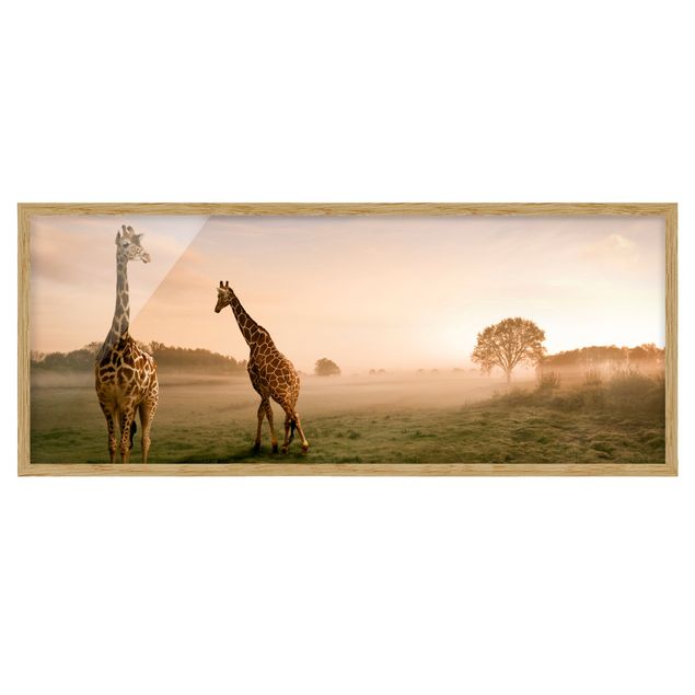 Bilder Surreal Giraffes