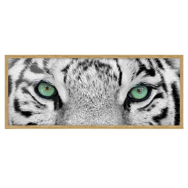 Bilder mit Rahmen Weißer Tiger