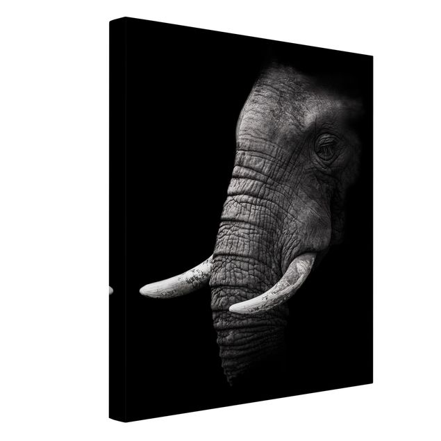 Bilder Dunkles Elefanten Portrait