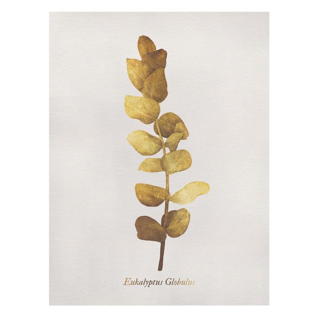 Leinwandbild - Gold - Eukalyptus - Hochformat 4:3
