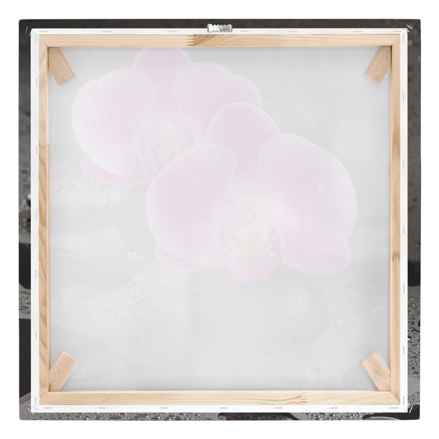 Leinwandbild - Pinke Orchideenblüten auf Steinen mit Tropfen - Quadrat 1:1