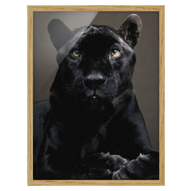 Bilder mit Rahmen Black Puma
