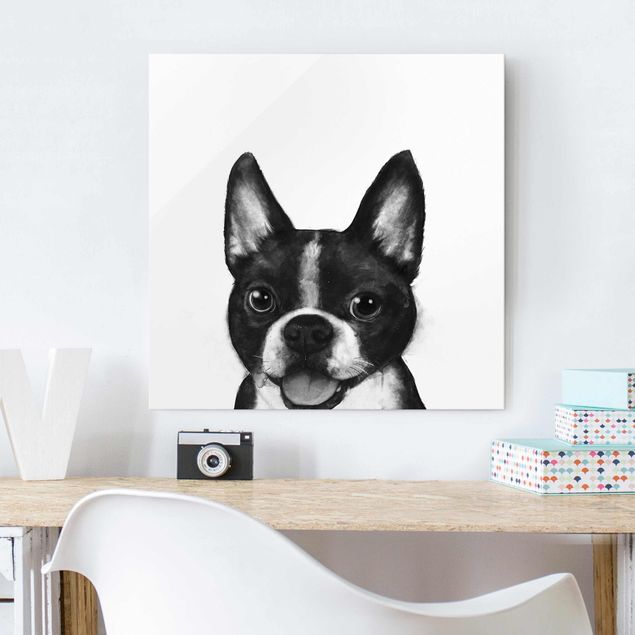 Glasbild - Illustration Hund Boston Schwarz Weiß Malerei - Quadrat 1:1