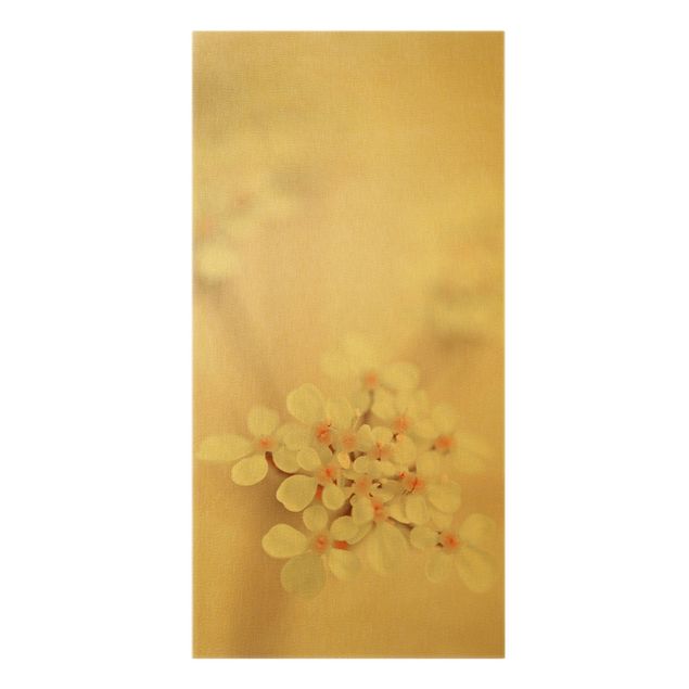 Leinwandbild Gold - Miniblüten im Rosanen Licht - Hochformat 1:2