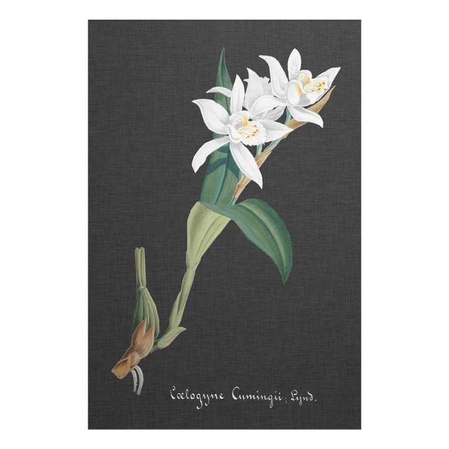 Glasbild - Weiße Orchidee auf Leinen II - Hochformat 3:2