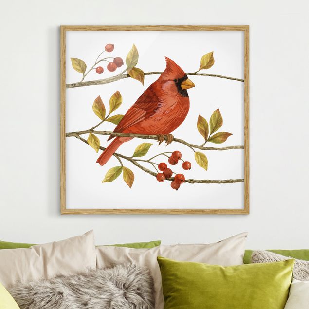 Moderne Bilder mit Rahmen Vögel und Beeren - Rotkardinal