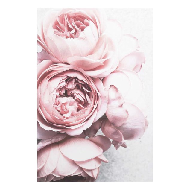 Glasbild - Rosa Pfingstrosenblüten Shabby Pastell - Hochformat 3:2