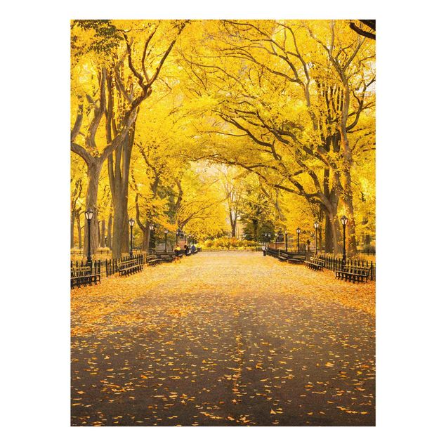 Bilder auf Glas Herbst im Central Park