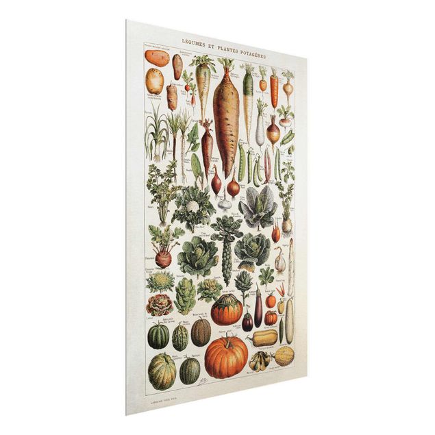 Glasbilder Vintage Lehrtafel Gemüse