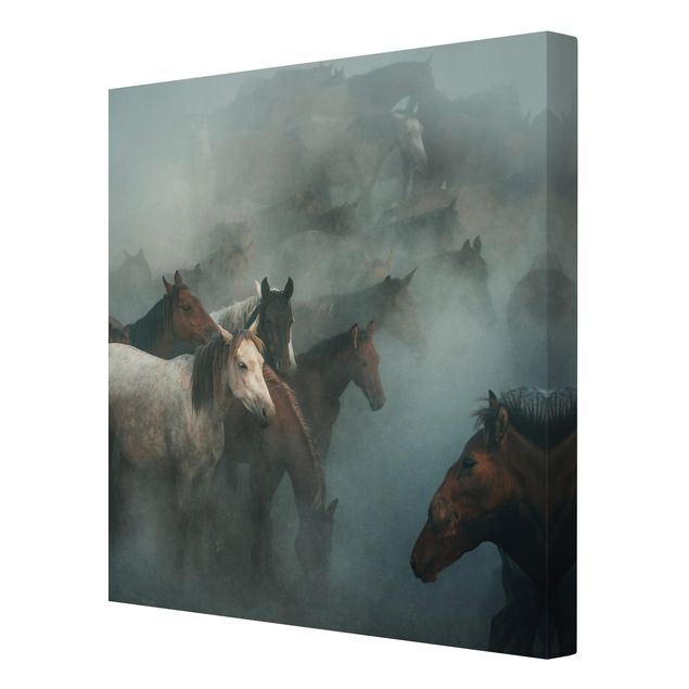 Leinwandbild - Wilde Pferde - Quadrat 1:1