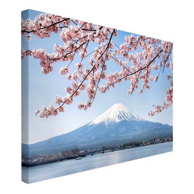 Bilder Kirschblüten mit Berg Fuji